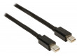 Kabel mini DisplayPort, zástrčka mini DisplayPort – zástrčka mini DisplayPort, 1,00 m, černý