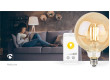 SmartLife LED žárovka | Wi-Fi | E27 | 806 lm | 7 W | Teplá Bílá | 1800 - 3000 K | Sklo | Android™ / IOS | Globe