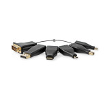 HDMI™ Adaptér | DisplayPort Zástrčka / DVI-D 24+1 Zástrčka / HDMI ™ Mini Connector / Mikro konektor HDMI ™ / Mini DisplayPort Zástrčka / USB-C™ Zástrčka | HDMI ™ Zásuvka | Pozlacené | Přímý | PVC | Černá | 6 ks | Box