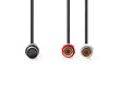 DIN Audio Kabel | DIN 5pinová Zástrčka | 2x RCA Zásuvka | Poniklované | 0.20 m | Kulatý | PVC | Černá | Label