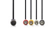 DIN Audio Kabel | DIN 5pinová Zásuvka | 4x RCA Zástrčka | Poniklované | 0.20 m | Kulatý | PVC | Černá | Label