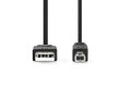 USB kabel | USB 2.0 | USB-A Zástrčka | USB-B Zástrčka | 10 W | 480 Mbps | Poniklované | 3.00 m | Kulatý | PVC | Černá | Label