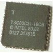 80C31 - 8bit.microcontroler, PLCC