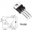 BDW93C N darl. 100V/12A 80W TO220