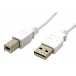 Kabel USB 2.0 USB A vidlice,USB B vidlice 1m bílá 480Mbps