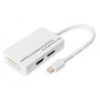 Konvertor DisplayPort 1.1a Barva: bilá