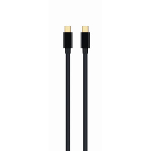 Kabel DisplayPort 1.2 mini DisplayPort vidlice,z obou stran
