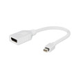 Adaptér DisplayPort 1.1 0,15m Barva: bilá Vlastnosti: Full HD