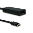 Adaptér USB 3.1 DisplayPort zásuvka,USB C vidlice 0,23m
