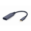 Adaptér USB 3.0 DisplayPort zásuvka,USB C vidlice 0,15m šedá