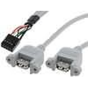 Adaptér USB A socket x2,5 pin header x2 0.5m