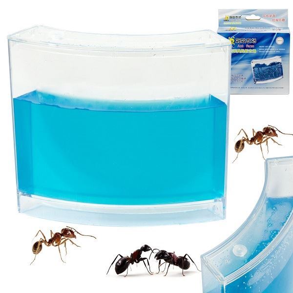 Vzdělávací gelové akvárium pro mravence